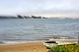_X8S0687