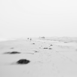 IMG_1315