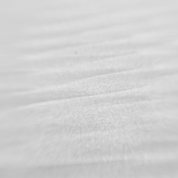 IMG_1317
