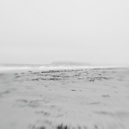 IMG_1322