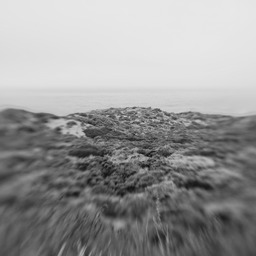 IMG_1325