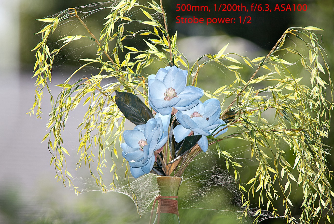 The Flash x-tender ( Better Beamer ) FX - 3フラッシュ出力ブースターfor Canon 580ex、Canon 580?IIとMetz 54???4 Amazon.com : Better Beamer Flash Extender : On Camera Shoe