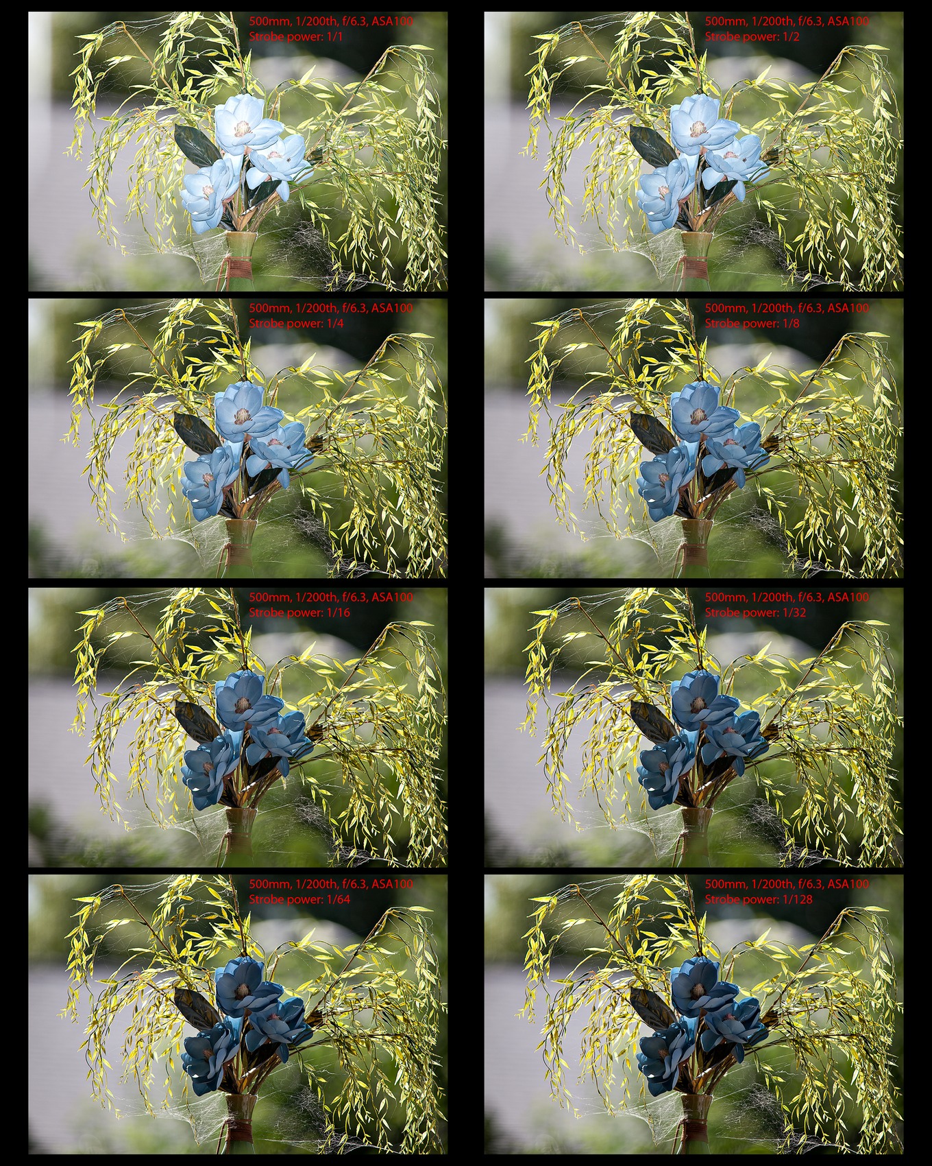 The Flash x-tender ( Better Beamer ) FX - 3フラッシュ出力ブースターfor Canon 580ex、Canon 580?IIとMetz 54???4 Amazon.com : Better Beamer Flash Extender : On Camera Shoe