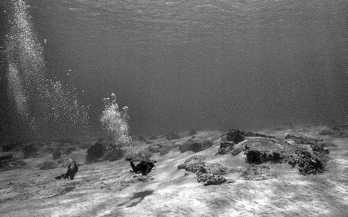 BuddyDivers