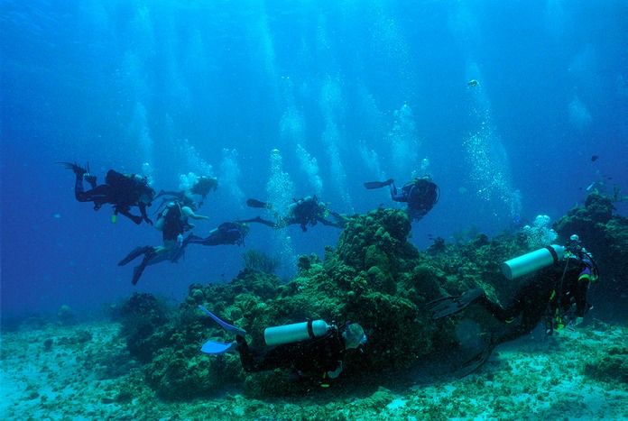 FollowTheDivers