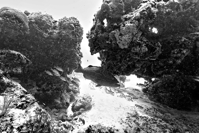 CRW_6746