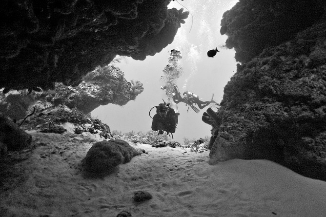 CRW_6969