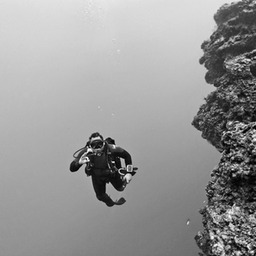 CRW_6982