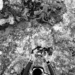 CRW_7067