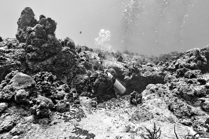 CRW_7817