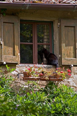 Italy 2004