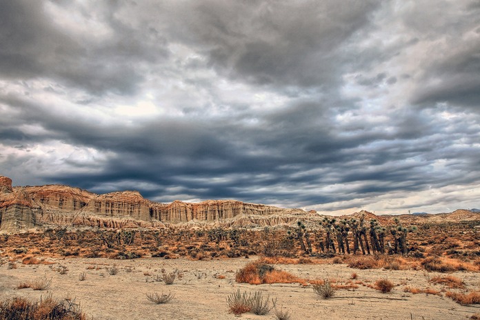 _MG_2080x3jpg