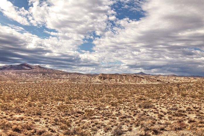 _MG_2164x3