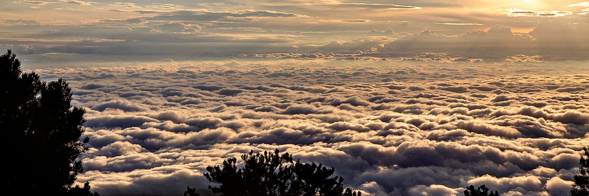 _MG_2485x3