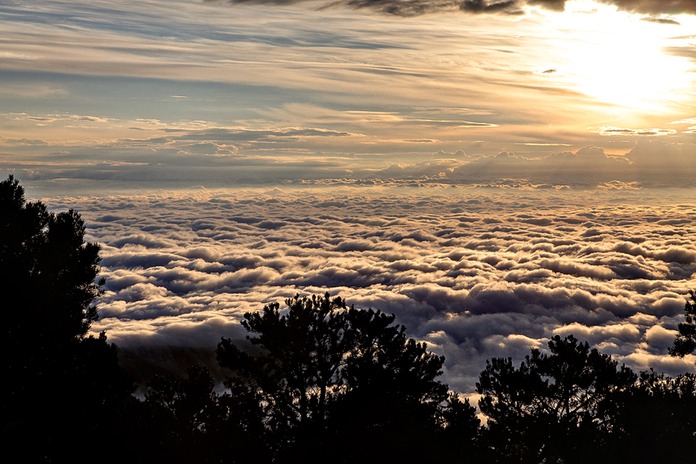_MG_2485x3