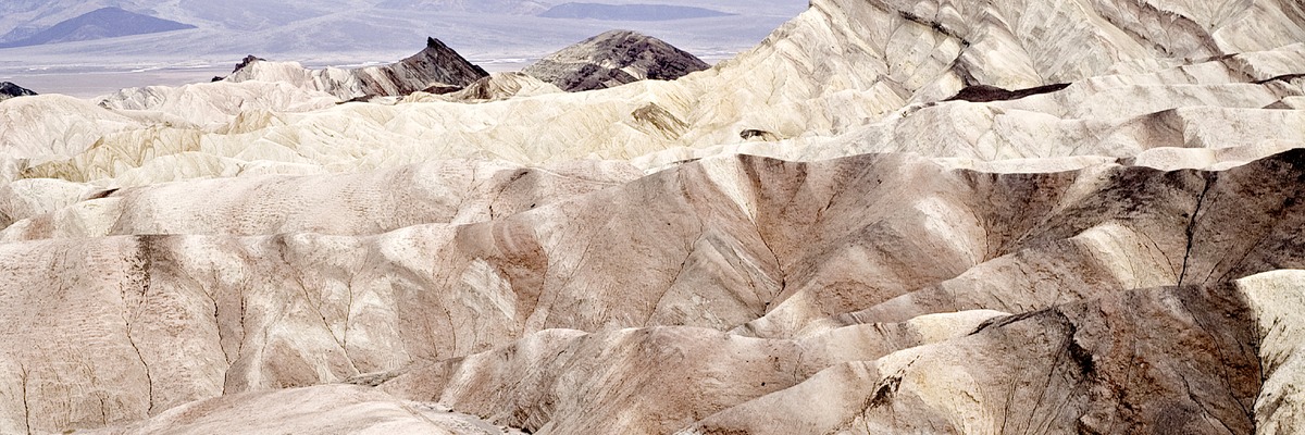 _X8S4196_DxO