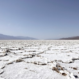 _X8S4274_DxO