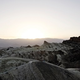 _X8S4448_DxO
