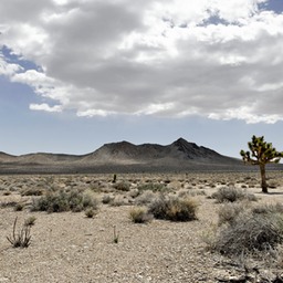 _X8S4488_DxO