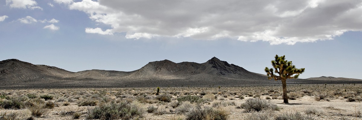 _X8S4488_DxO