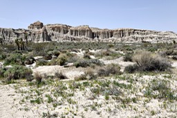 _X8S5009_DxO