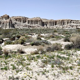 _X8S5009_DxO