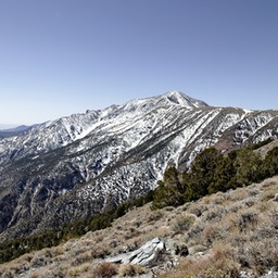 _X8S5188_DxO