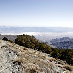 _X8S5191_DxO