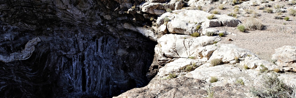 _X8S5409_DxO