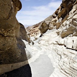 _X8S5444_DxO