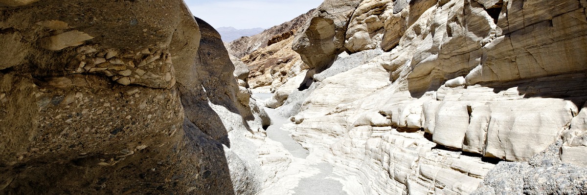 _X8S5444_DxO
