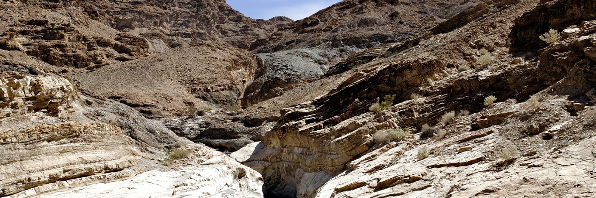 _X8S5455_DxO