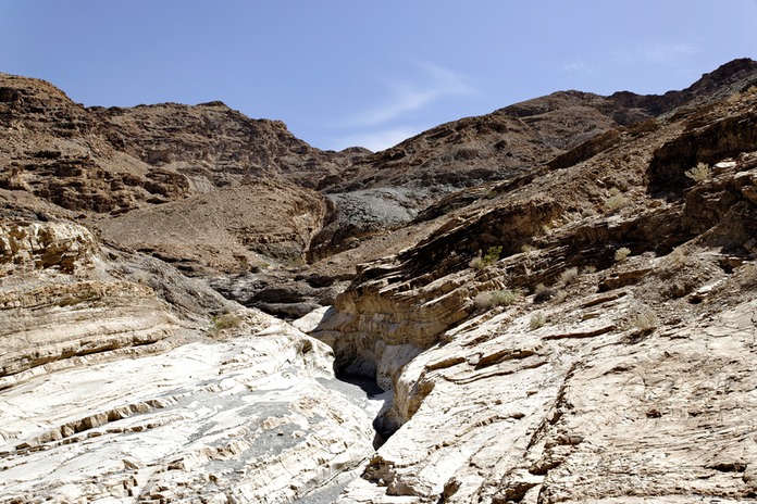 _X8S5455_DxO