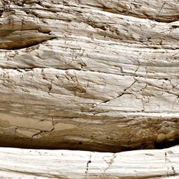 _X8S5462_DxO