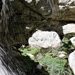 _X8S5499_DxO