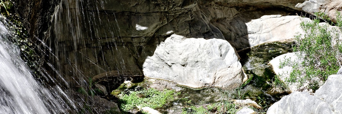 _X8S5499_DxO