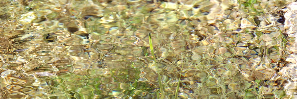 _X8S5507_DxO