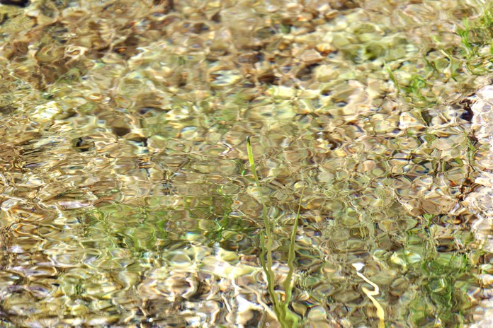 _X8S5507_DxO