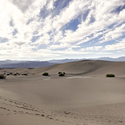 _X8S8160_DxO