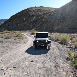IMG_1336_DxO