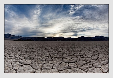 mojave head