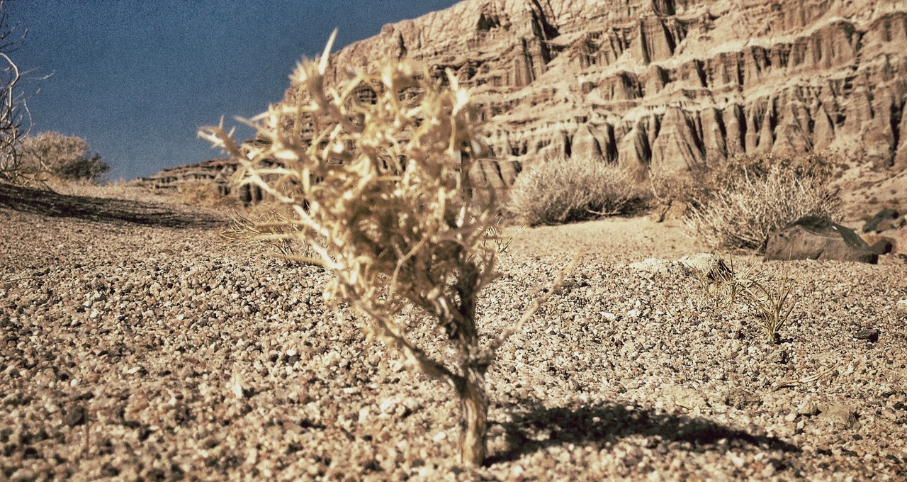 121017_112024