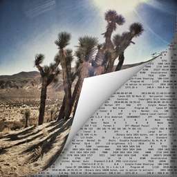Editing Workflow & EXIF Reference