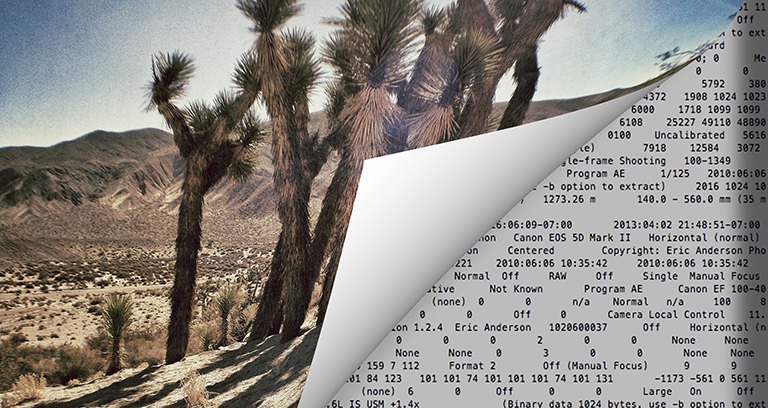 Editing Workflow & EXIF Reference