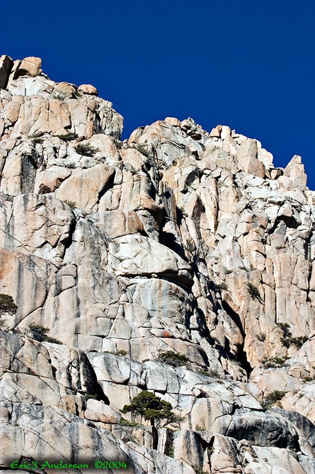 Yosemite Road Trip