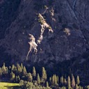 Yosemite Road Trip