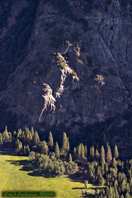 Yosemite Road Trip