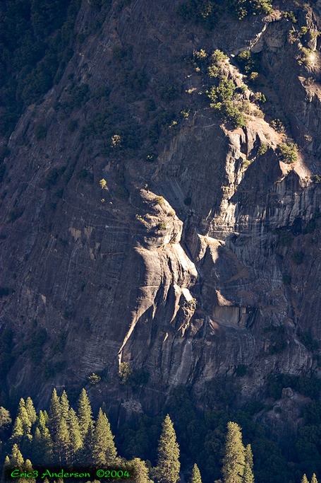 Yosemite Road Trip