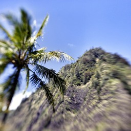 10 Years of Maui