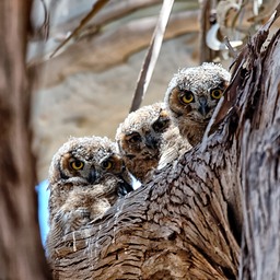 _MG_1349_DxO_PS